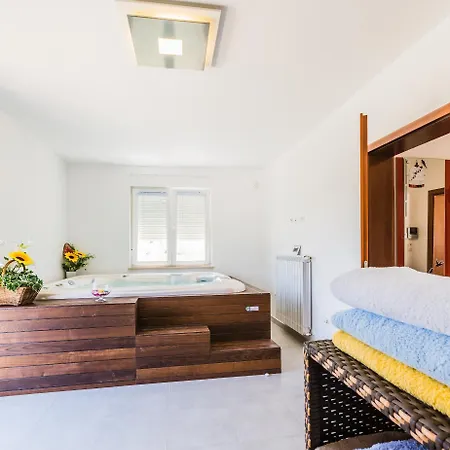 Delle Rondini In Istria With Whirlpool And Sauna For 8 Persons Villa *